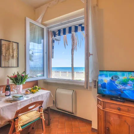 Vivante - Front - Happy Albenga